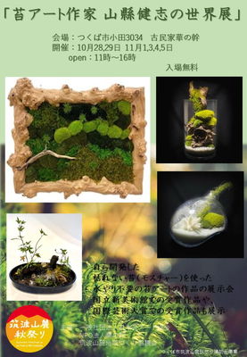 華の幹 苔アート展